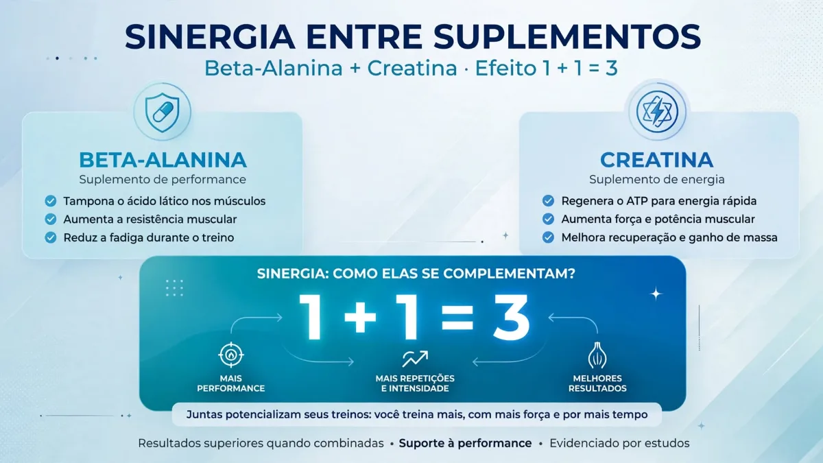 Beta-Alanina e Creatina: A combinação perfeita?
